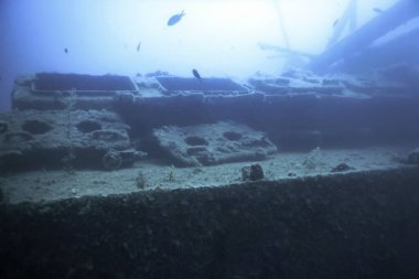 Mavi Sudaki Gemi Enkazı, Büyüyen Mercanlarla Paslı Gemi Enkazı, Sualtı