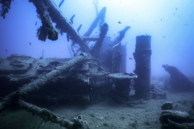 Mavi Sudaki Gemi Enkazı, Büyüyen Mercanlarla Paslı Gemi Enkazı, Sualtı