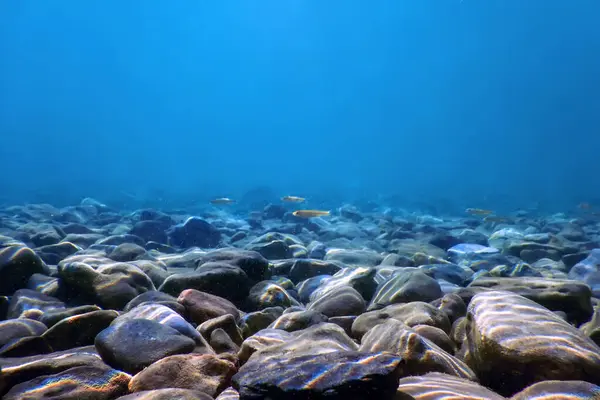 Υποβρύχια Βότσαλα Κάτω Από Την Επιφάνεια Του Νερού Βράχια Και Φωτογραφία Αρχείου