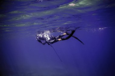 Spearfisher Swims on the Surface of the Sea, Spearfishing clipart