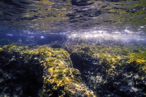 stock image Rocks at Bottom of Ocean Floor, Underwater Life