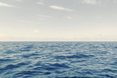 Mavi Okyanus, Su Yüzeyi ve Mavi Gökyüzü