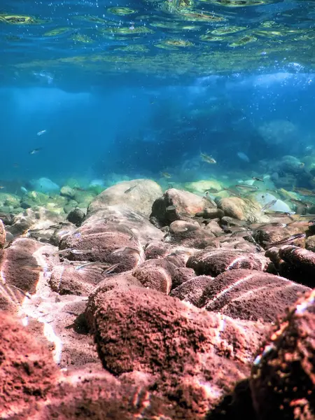 stock image Rocks and Pebbles, pebbles below water freshwater