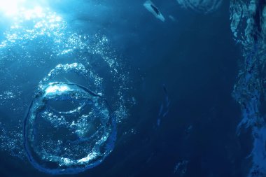 Su altındaki kabarcıklar güneşe doğru yükseliyor.