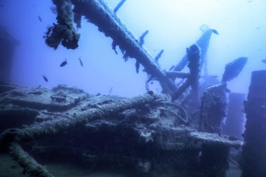 Mavi Sudaki Gemi Enkazı, Büyüyen Mercanlarla Paslı Gemi Enkazı, Sualtı