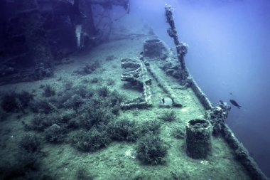 Mavi Sudaki Gemi Enkazı, Büyüyen Mercanlarla Paslı Gemi Enkazı, Sualtı