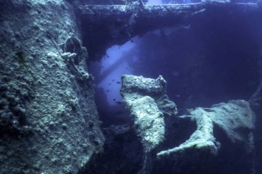 Mavi Sudaki Gemi Enkazı, Büyüyen Mercanlarla Paslı Gemi Enkazı, Sualtı