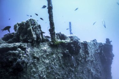 Mavi Sudaki Gemi Enkazı, Büyüyen Mercanlarla Paslı Gemi Enkazı, Sualtı
