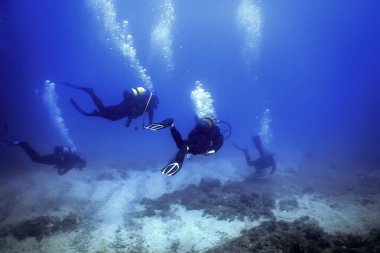 Denizin Dibindeki Dalgıçlar Grubu