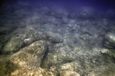 Okyanus tabanının dibindeki kayalar, sualtı yaşamı