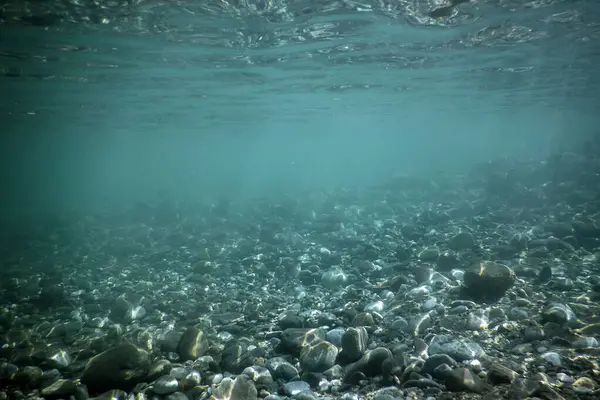 stock image Mountain River Underwater Rocks on a Shallow Riverbed with Clear Water