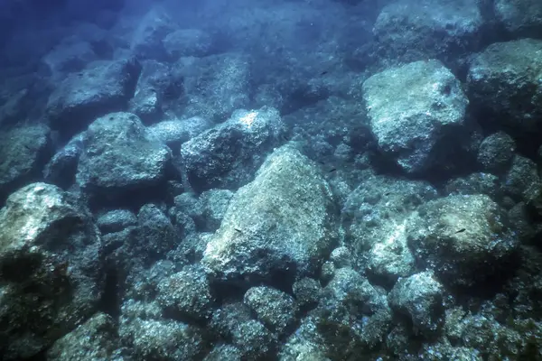 stock image Rocks at Bottom of Ocean Floor, Underwater Life