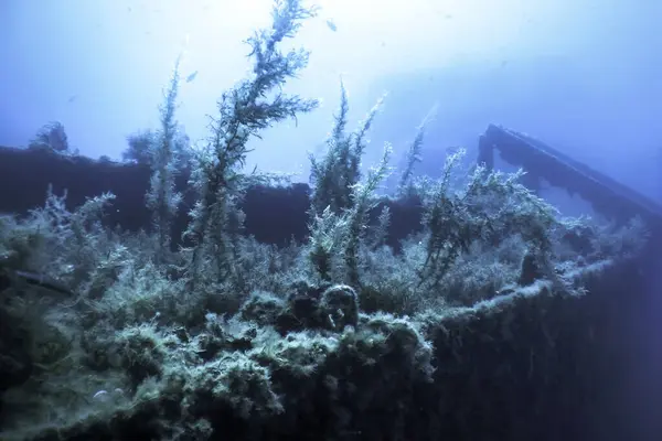 stock image Shipwreck in the Blue Water, Rusty Shipwreck with Growing Corals, Underwater