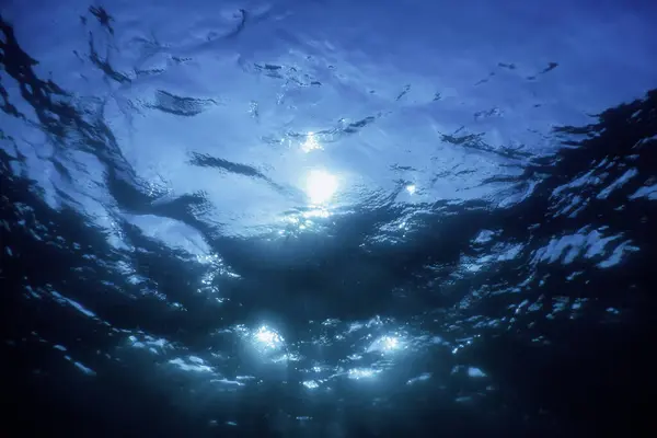 Stock image Underwater View of the Sea Surface