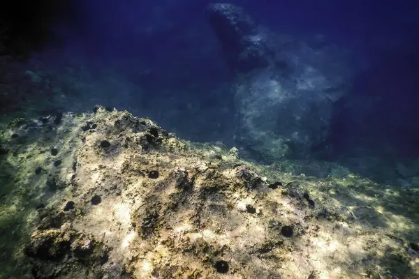 Stock image Rocks at Bottom of Ocean Floor, Underwater Life