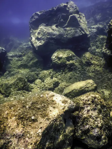 stock image Rocks at Bottom of Ocean Floor, Underwater Life