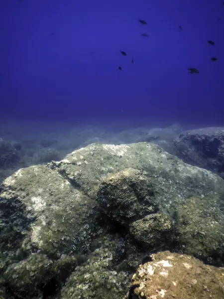 stock image Rocks at Bottom of Ocean Floor, Underwater Life