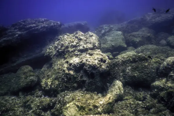 stock image Rocks at Bottom of Ocean Floor, Underwater Life