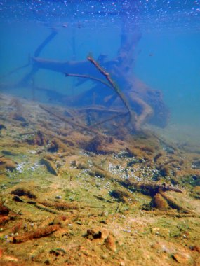 Sualtı Tatlı Su Flora, Sualtı Dibi, Nehirler, Göller, Göl