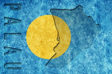 Palau Metalik bayrağı, desenli bayrak, grunge bayrağı