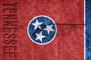Metalik Tennessee eyalet bayrağı, Tennessee bayrağı arkaplan metalik dokusu