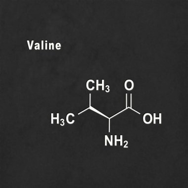 Valine (l-valine, Val, V) amino acid, chemical structure white on black background