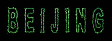 Pekin Ormanı, Pekin Şehir Tepesi Siyah Üzerinde