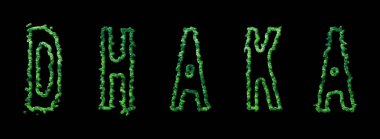 Dhaka Ormanı, Dhaka Şehir Ormanı Kara Kubbe