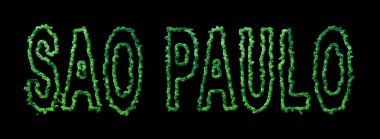 Sao Paulo Ormanı, Sao Paulo Şehir Tepesi