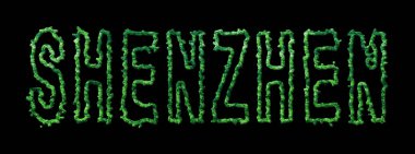 Shenzhen Ormanı, Shenzhen Şehir Tepesi