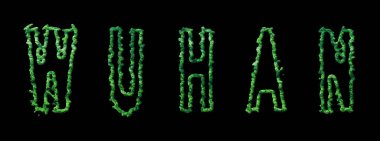 Wuhan Ormanı, Wuhan Şehir Kubbesi