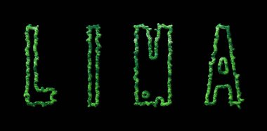 Lima Ormanı, Lima Şehir Kara Kubbe