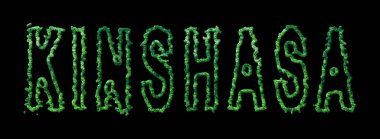 Kinşasa Ormanı, Kinşasa Siyah Şehir Tepesi