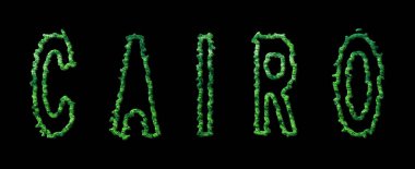 Kahire Ormanı, Kahire Şehir Kubbesi