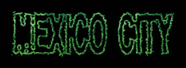 Mexico City Ormanı, Mexico City Şehir Tepesi Siyah