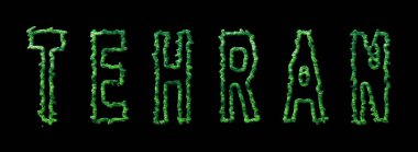 Tahran Ormanı, Tahran Şehir Tepesi