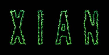 Xian Ormanı, Xian Şehir Tepesi Siyah