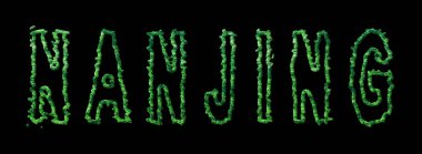 Nanjing Ormanı, Nanjing Şehir Kubbesi