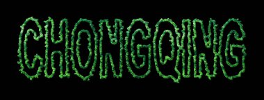 Chongqing Ormanı, Chongqing Şehir Tepesi