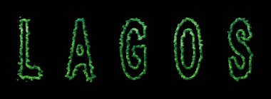 Lagos Ormanı, Lagos Kara Şehir Tepesi