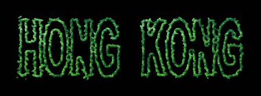 Hong Kong Ormanı, Hong Kong Siyah Şehir Tepesi