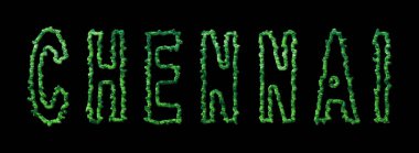 Chennai Ormanı, Chennai Şehir Tepesi