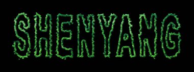 Shenyang Ormanı, Shenyang Şehir Kubbesi