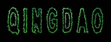 Qingdao Ormanı, Qingdao Şehir Kubbesi