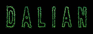 Dalian Ormanı, Dalian Urban Canopy on Black