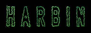 Harbin Ormanı, Harbin Şehir Tepesi Siyah