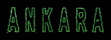 Ankara Ormanı ve Ankara Siyahi Şehir Tepesi