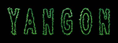 Yangon Ormanı, Yangon Şehir Kubbesi