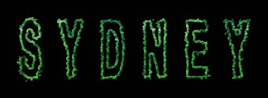 Sydney Ormanı, Sydney Şehir Tepesi Siyah