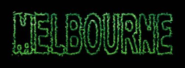 Melbourne Ormanı, Melbourne Şehir Tepesi